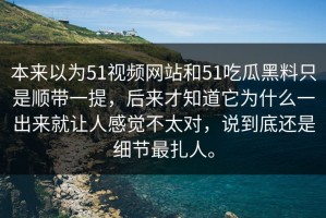 本来以为51视频网站和51吃瓜黑料只是顺带一提，后来才知道它为什么一出来就让人感觉不太对，说到底还是细节最扎人。