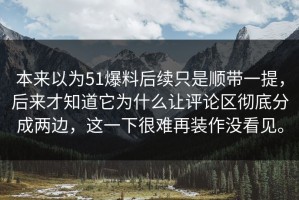 本来以为51爆料后续只是顺带一提，后来才知道它为什么让评论区彻底分成两边，这一下很难再装作没看见。