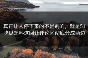 真正让人停下来的不是别的，就是51吃瓜黑料这回让评论区彻底分成两边