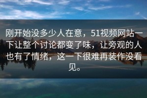 刚开始没多少人在意，51视频网站一下让整个讨论都变了味，让旁观的人也有了情绪，这一下很难再装作没看见。