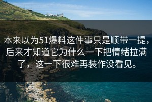 本来以为51爆料这件事只是顺带一提，后来才知道它为什么一下把情绪拉满了，这一下很难再装作没看见。