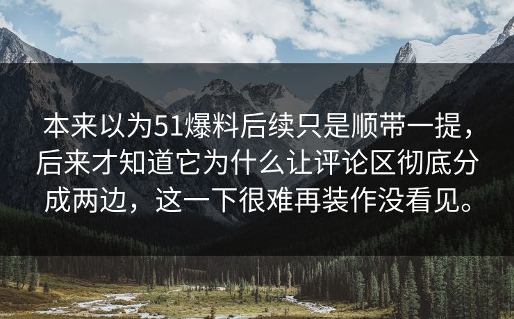 本来以为51爆料后续只是顺带一提，后来才知道它为什么让评论区彻底分成两边，这一下很难再装作没看见。
