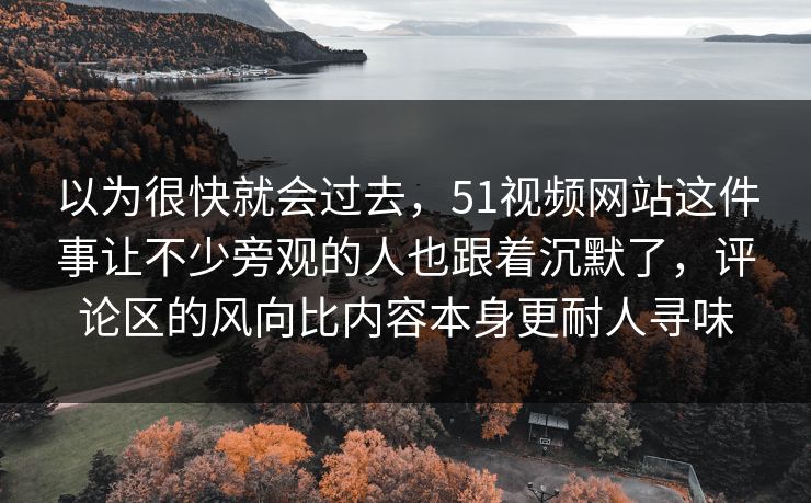 以为很快就会过去，51视频网站这件事让不少旁观的人也跟着沉默了，评论区的风向比内容本身更耐人寻味